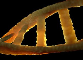 Barbara Marciniak: Vaše DNA se vyvíjí