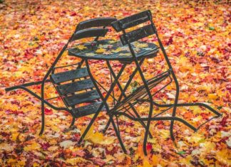 Listopadové jedenáctky – měsíc z pohledu numerologie