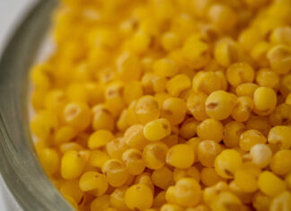 Zuzana Švédová: Jak se zahřát? Zkuste to s jáhlami