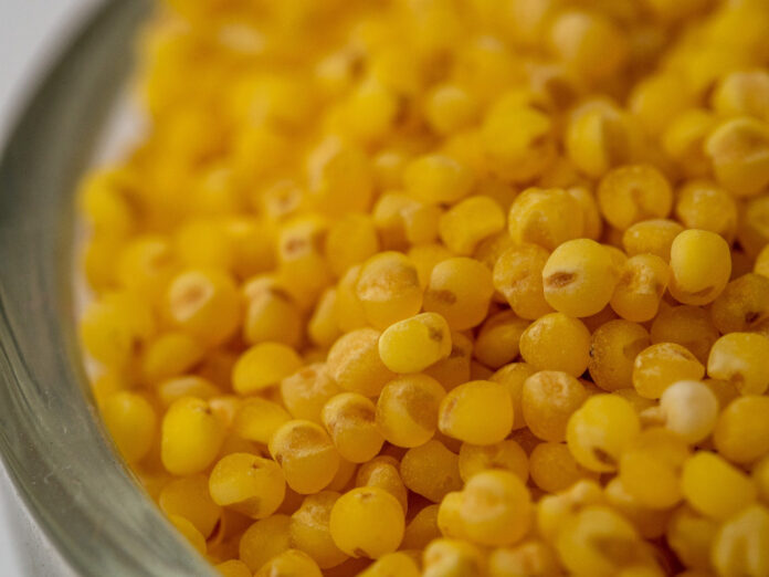 Jahly-miska-sklenena