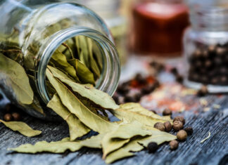 Eva Kalivodová Štichová: Léčivý bobkový list