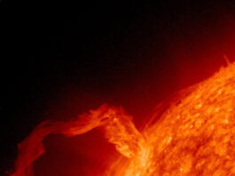 Naďa Kučerová: Pro období následujících tří až čtyř let bude klíčové udržovat vnitřní klid