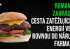 Roman N. Zahrádka: Cesta zatěžujících energií vede rovnou do náruče farmacie