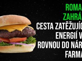 Roman N. Zahrádka: Cesta zatěžujících energií vede rovnou do náruče farmacie
