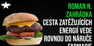 Roman N. Zahrádka: Cesta zatěžujících energií vede rovnou do náruče farmacie