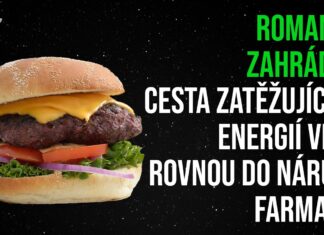 Roman N. Zahrádka: Cesta zatěžujících energií vede rovnou do náruče farmacie