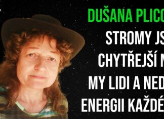 Dušana Plicová: Stromy jsou chytřejší než my lidi a nedají energii každému