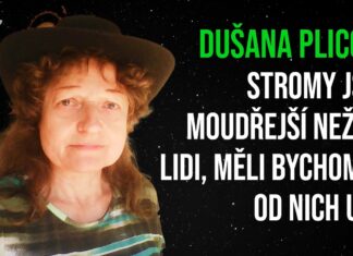 Dušana Plicová: Stromy jsou moudřejší než my lidi, měli bychom se od nich učit